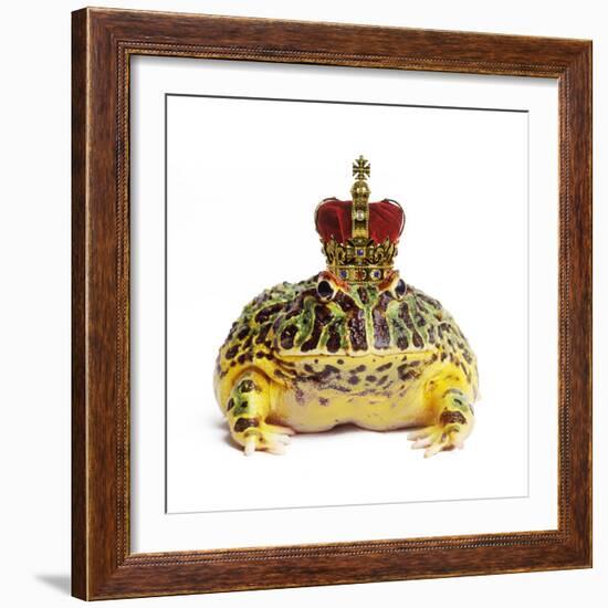 Frog Prince Wearing Crown-Andy and Clare Teare-Framed Photographic Print