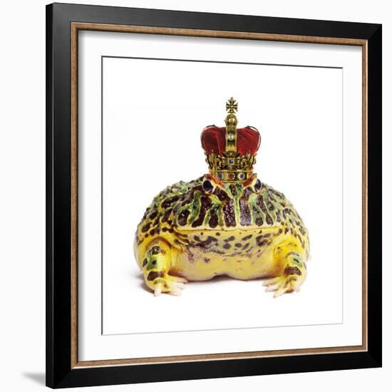 Frog Prince Wearing Crown-Andy and Clare Teare-Framed Photographic Print