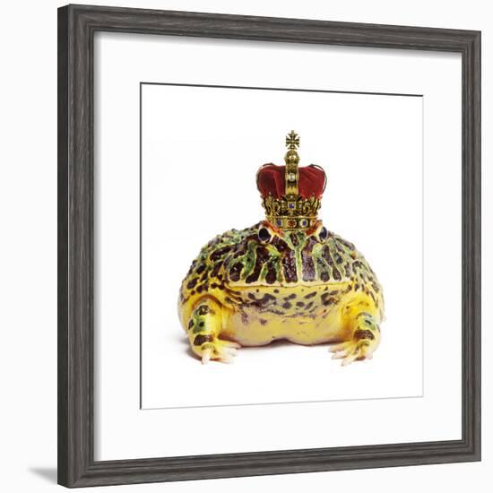 Frog Prince Wearing Crown-Andy and Clare Teare-Framed Photographic Print