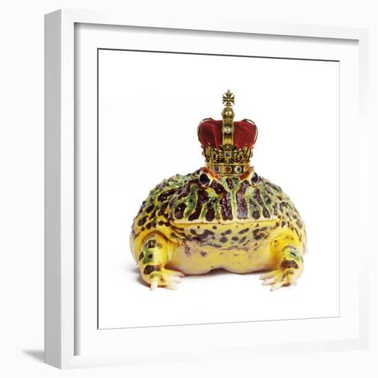 Frog Prince Wearing Crown-Andy and Clare Teare-Framed Photographic Print