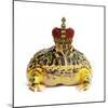 Frog Prince Wearing Crown-Andy and Clare Teare-Mounted Photographic Print
