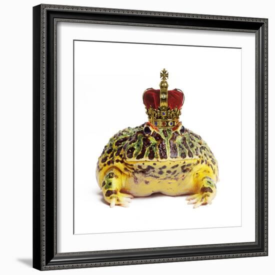 Frog Prince Wearing Crown-Andy and Clare Teare-Framed Photographic Print