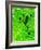 Frog Shadow on the Leaf-Patryk Kosmider-Framed Photographic Print