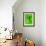 Frog Shadow on the Leaf-Patryk Kosmider-Framed Photographic Print displayed on a wall