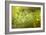 Frog Spawn-Dr. Keith Wheeler-Framed Premium Photographic Print