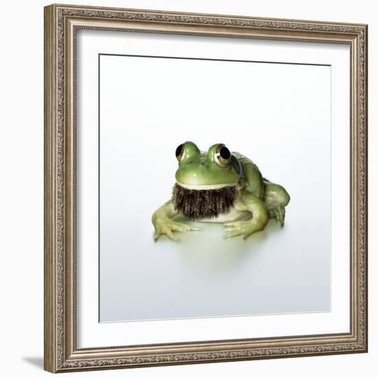 Frog Wearing Beard-Christopher C Collins-Framed Photographic Print