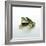 Frog Wearing Beard-Christopher C Collins-Framed Photographic Print