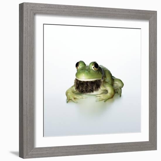 Frog Wearing Beard-Christopher C Collins-Framed Photographic Print