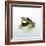 Frog Wearing Beard-Christopher C Collins-Framed Photographic Print