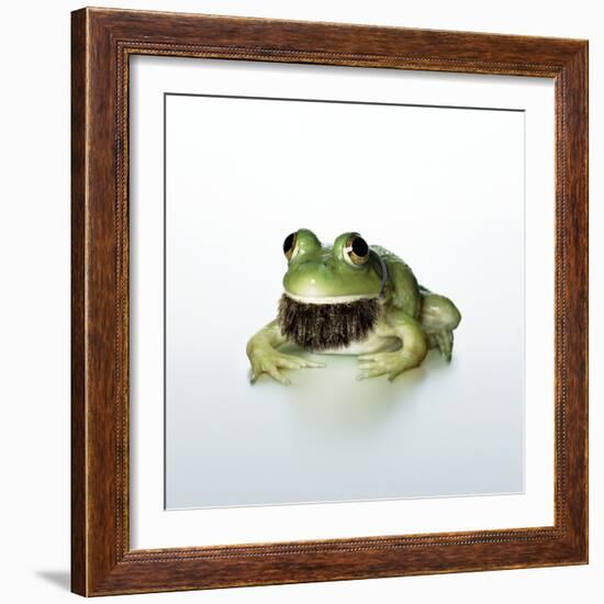 Frog Wearing Beard-Christopher C Collins-Framed Photographic Print