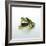 Frog Wearing Beard-Christopher C Collins-Framed Photographic Print