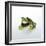 Frog Wearing Beard-Christopher C Collins-Framed Photographic Print