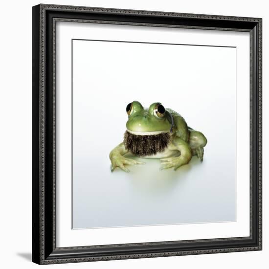 Frog Wearing Beard-Christopher C Collins-Framed Photographic Print