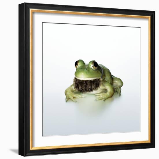 Frog Wearing Beard-Christopher C Collins-Framed Photographic Print