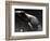 Frog-Henry Horenstein-Framed Photographic Print