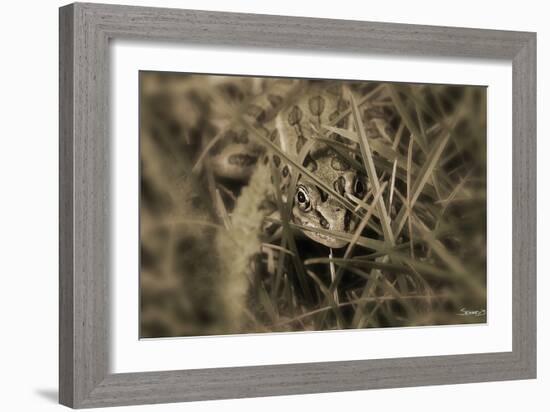 Frog-Gordon Semmens-Framed Photographic Print