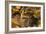 Frog-Gordon Semmens-Framed Photographic Print