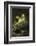 Frog-Lynn M^ Stone-Framed Photographic Print