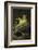 Frog-Lynn M^ Stone-Framed Photographic Print