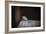 Frog-Julie Fain-Framed Art Print