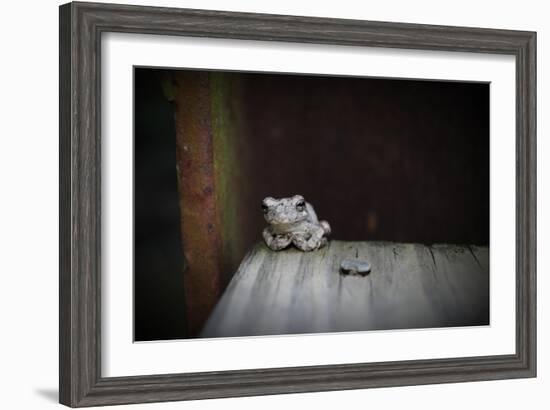 Frog-Julie Fain-Framed Art Print