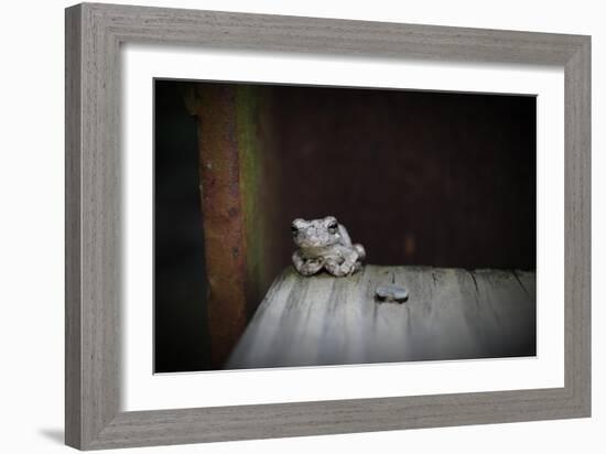 Frog-Julie Fain-Framed Art Print