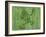 Frog-Karen Williams-Framed Giclee Print