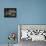 Frogland 1-Leah Saulnier-Framed Premier Image Canvas displayed on a wall