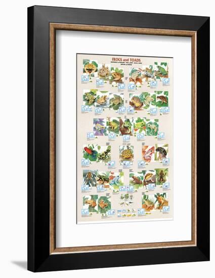 Frogs and Toads-null-Framed Premium Giclee Print