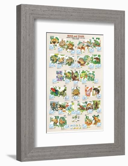 Frogs and Toads-null-Framed Premium Giclee Print