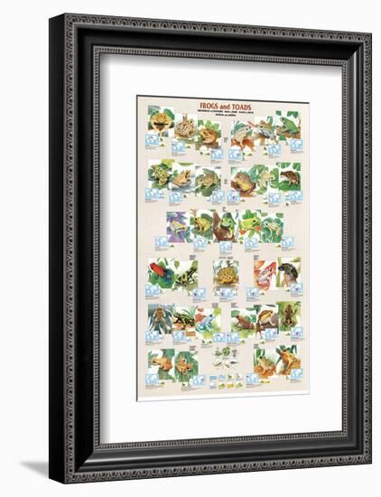 Frogs and Toads-null-Framed Premium Giclee Print