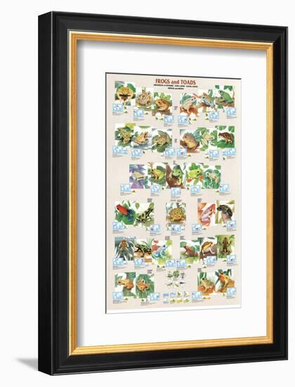 Frogs and Toads-null-Framed Premium Giclee Print