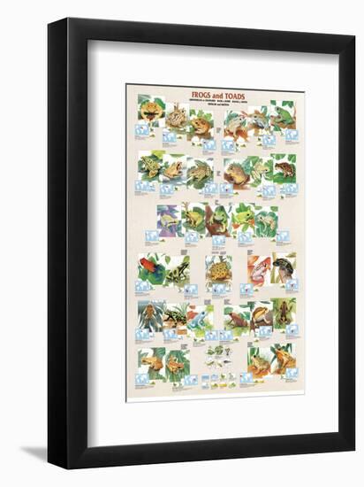 Frogs and Toads-null-Framed Premium Giclee Print