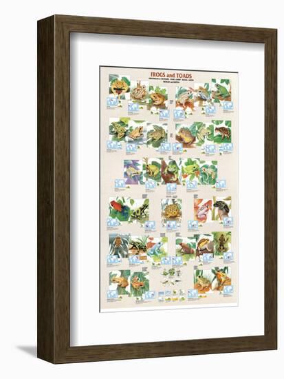 Frogs and Toads-null-Framed Premium Giclee Print