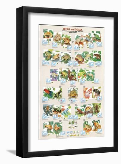 Frogs and Toads-null-Framed Art Print