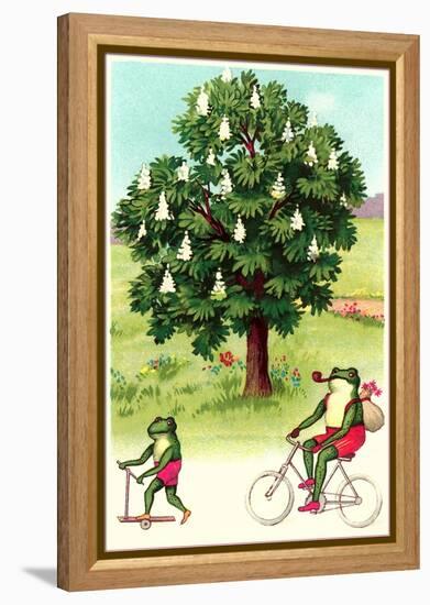 Frogs Passing Horse Chestnut-null-Framed Stretched Canvas