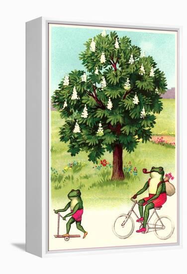 Frogs Passing Horse Chestnut-null-Framed Stretched Canvas