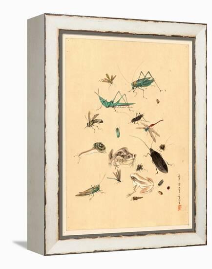 Frogs Snails and Insects-null-Framed Premier Image Canvas