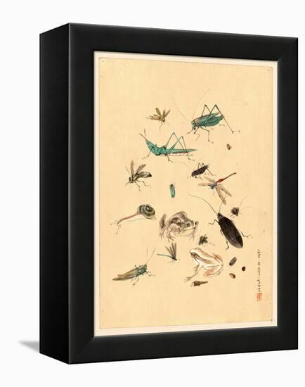 Frogs Snails and Insects-null-Framed Premier Image Canvas