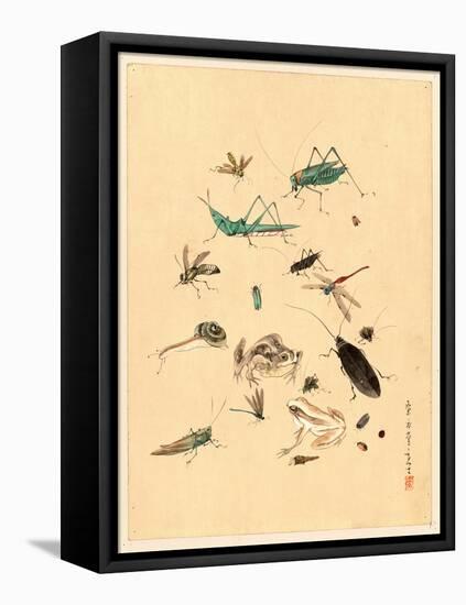 Frogs Snails and Insects-null-Framed Premier Image Canvas