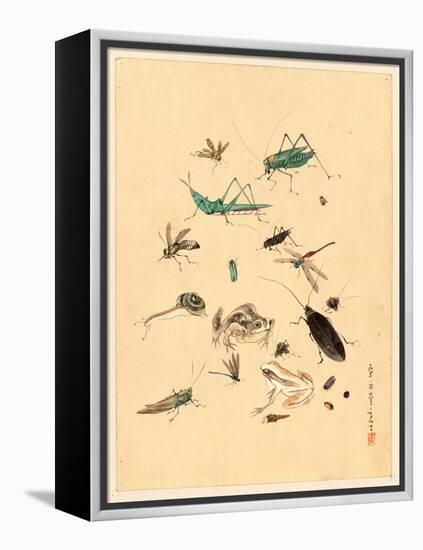 Frogs Snails and Insects-null-Framed Premier Image Canvas