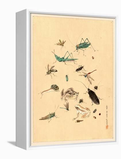 Frogs Snails and Insects-null-Framed Premier Image Canvas