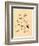 Frogs Snails and Insects-null-Framed Giclee Print