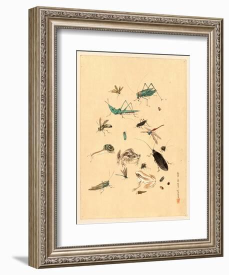 Frogs Snails and Insects-null-Framed Giclee Print