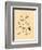 Frogs Snails and Insects-null-Framed Giclee Print