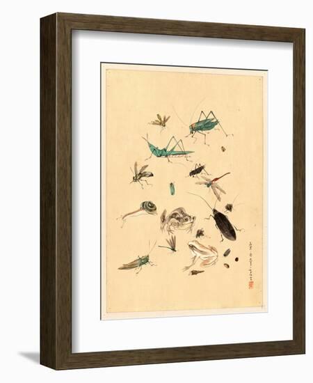 Frogs Snails and Insects-null-Framed Giclee Print
