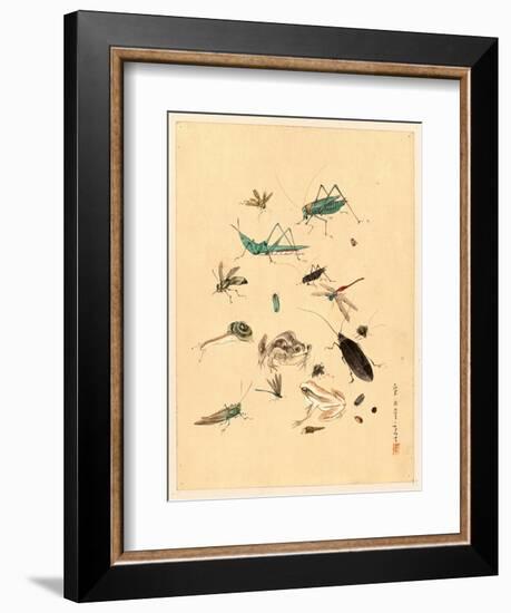 Frogs Snails and Insects-null-Framed Giclee Print