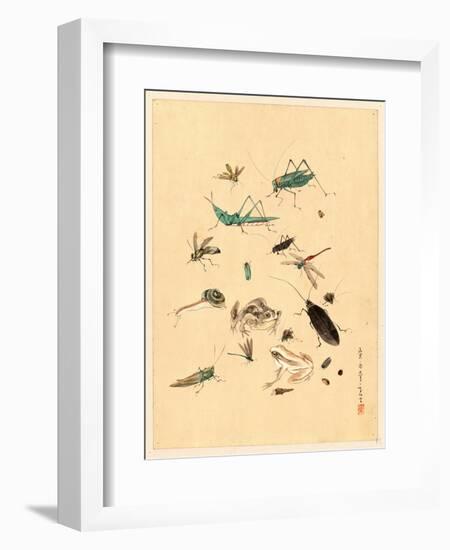 Frogs Snails and Insects-null-Framed Giclee Print