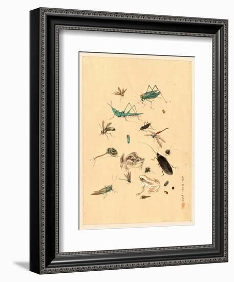 Frogs Snails and Insects-null-Framed Giclee Print