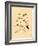 Frogs Snails and Insects-null-Framed Giclee Print